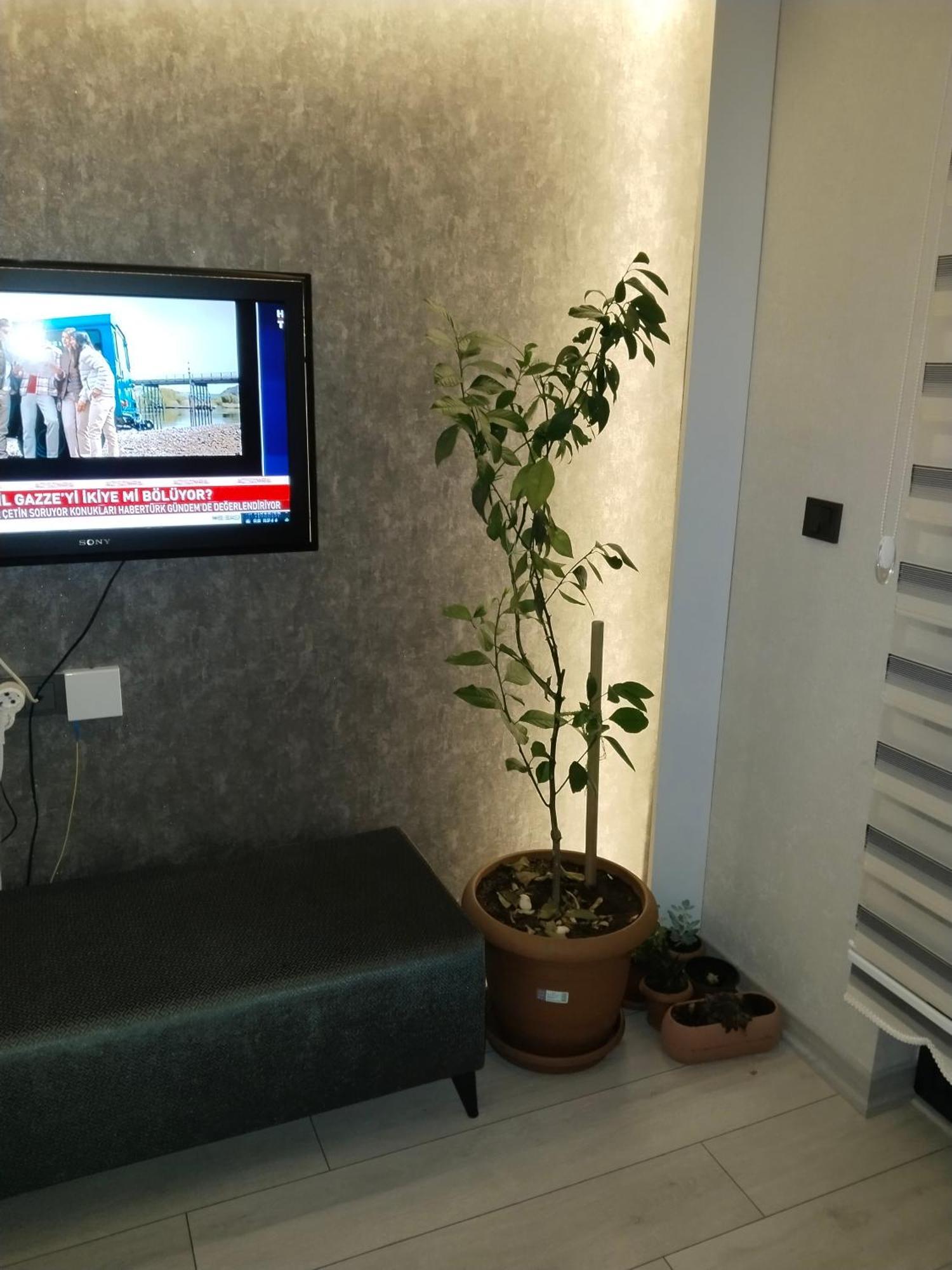 Ankara Esenboga Airport Luxury Rezidance Apart エクステリア 写真